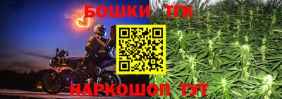 амф Новозыбков