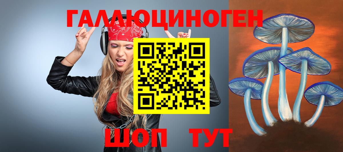 Стрежевой  Галлюциногенные грибы Cubensis  Вход с VPN 