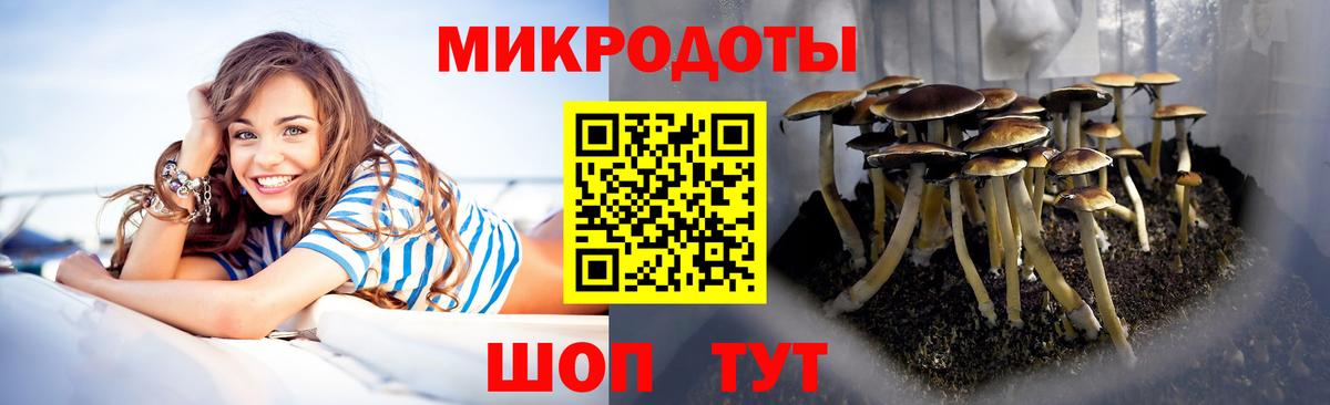 Галлюциногенные грибы мухоморы Стрежевой
